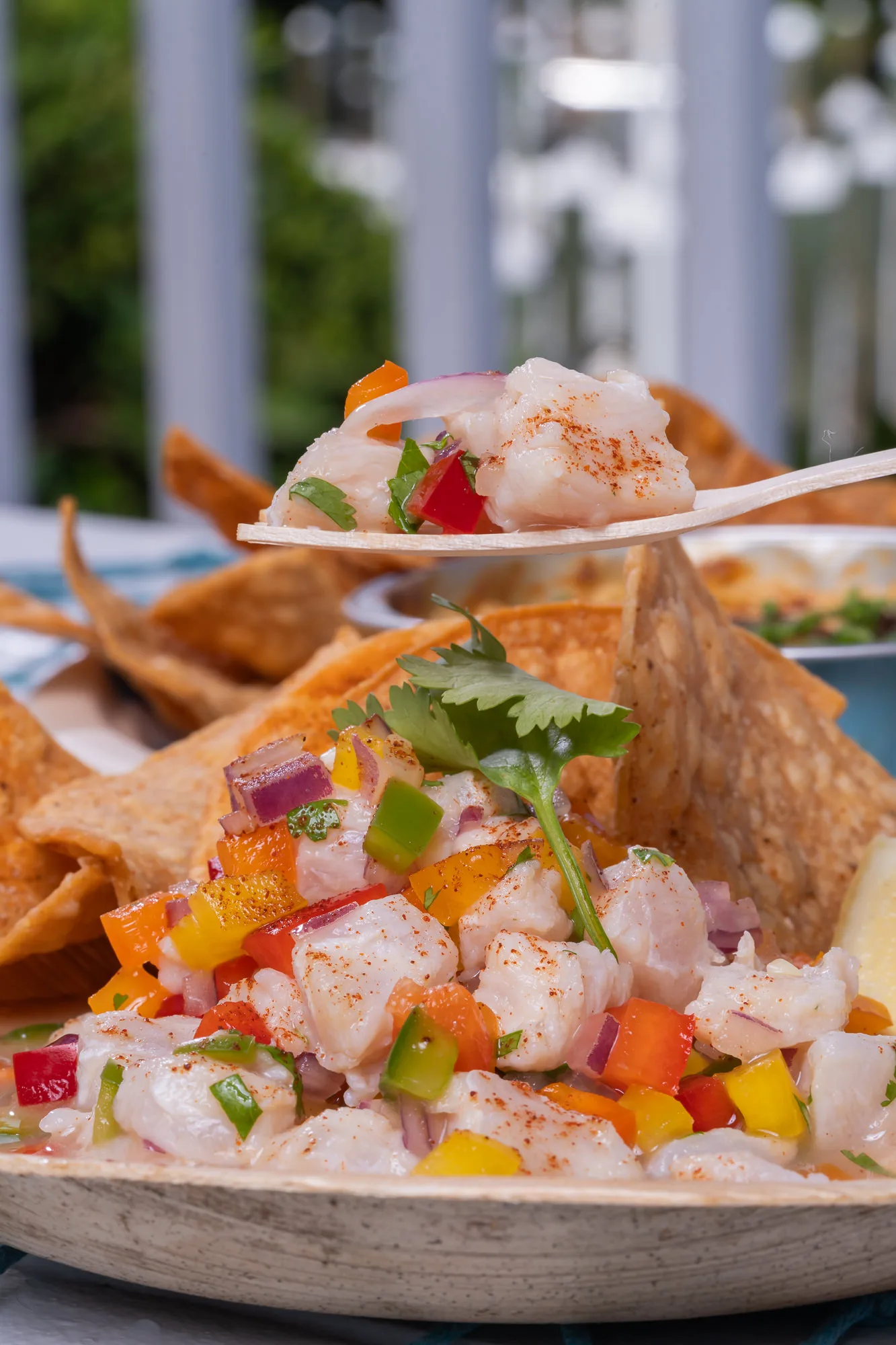 Fresh ceviche with colorful vegetables, freshness and quality from The Lazy Oyster