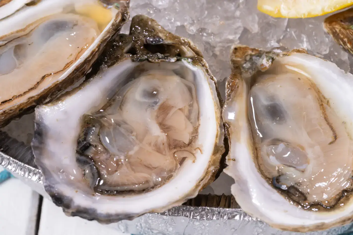 Two Lazy Oyster shuckers at their branded tent at a live event